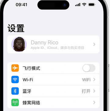 甘洛appleID维修服务iPhone设置中Apple ID显示为灰色无法使用 