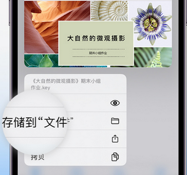 甘洛apple维修中心分享iPhone文件应用中存储和找到下载文件