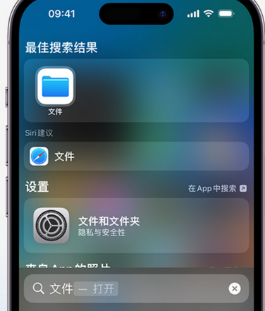 甘洛apple维修中心分享iPhone文件应用中存储和找到下载文件 