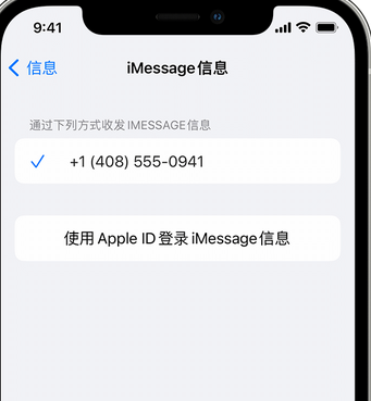 甘洛apple维修iPhone上无法正常发送iMessage信息 