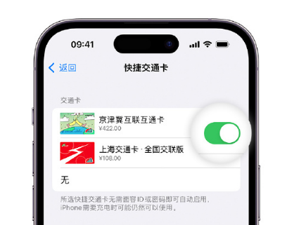 甘洛apple维修点分享iPhone上更换Apple Pay快捷交通卡手绘卡面 