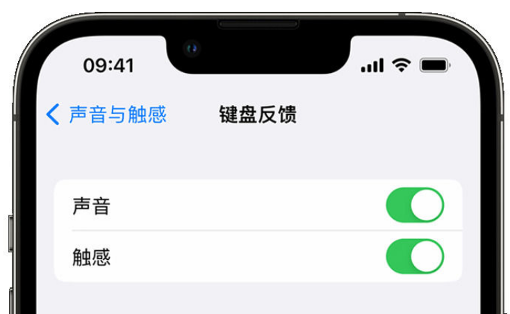 甘洛苹果手机维修分享iPhone 14触感键盘使用方法 