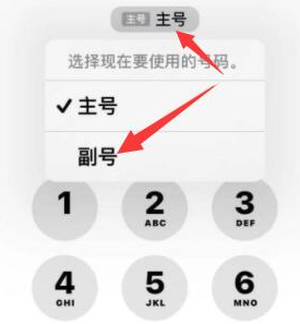 甘洛苹果14维修店分享iPhone 14 Pro Max使用副卡打电话的方法 