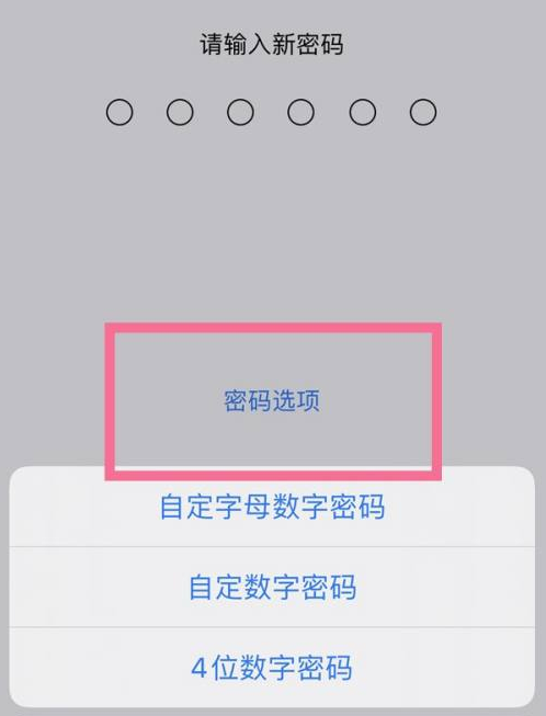 甘洛苹果14维修分享iPhone 14plus设置密码的方法 