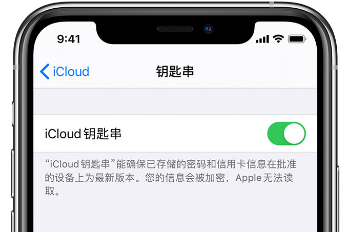 甘洛苹果手机维修分享在 iPhone 上开启 iCloud 钥匙串之后会储存哪些信息 