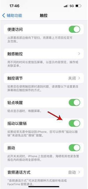 甘洛苹果手机维修分享iPhone手机如何设置摇一摇删除文字 